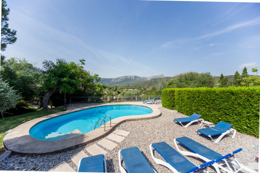 Piscina está rodeada con una terraza