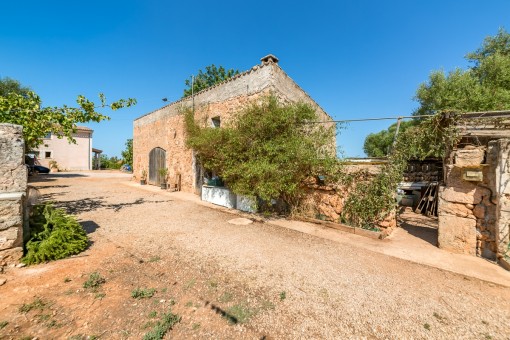 Terreno amplio de la finca