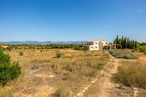 Vistas sobre el terreno de la finca