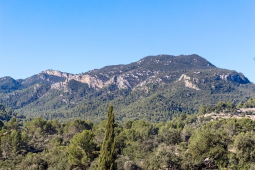 Impresionantes vistas a las montañas