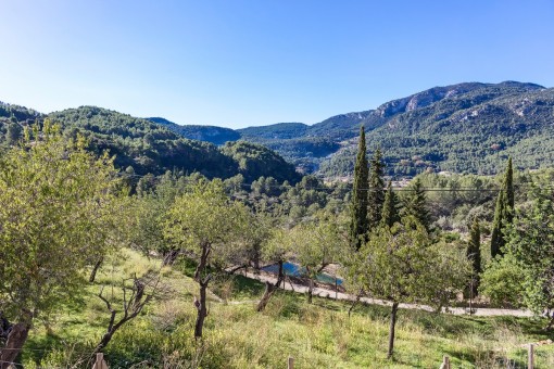 La finca está rodeada de naturaleza