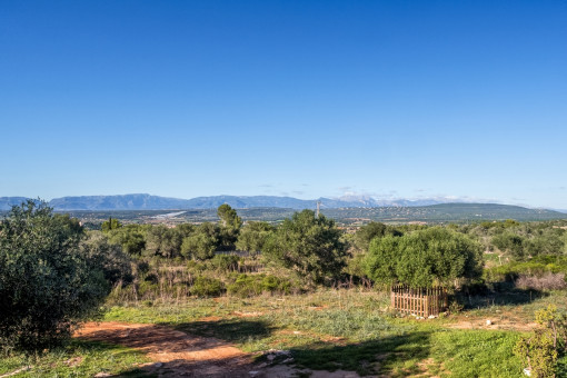 Proyecto fantástico para la construcción de una finca en S'Aranjassa