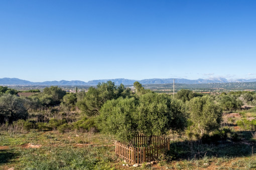Vistas idílicas de la Tramuntana