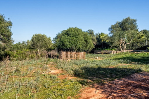 Un jardín bonito puede ser plantado
