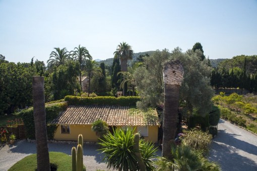 Vistas desde la terraza