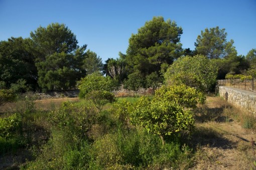 Vistas de la casa y área de la piscina