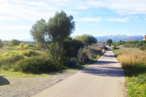 Una vía terrestre es la frontera natural entre los terrenos