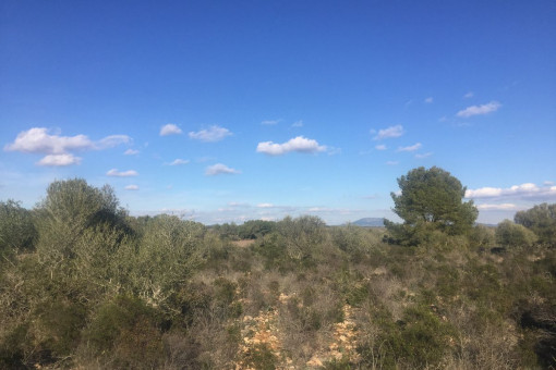Extensas vistas sobre el campo