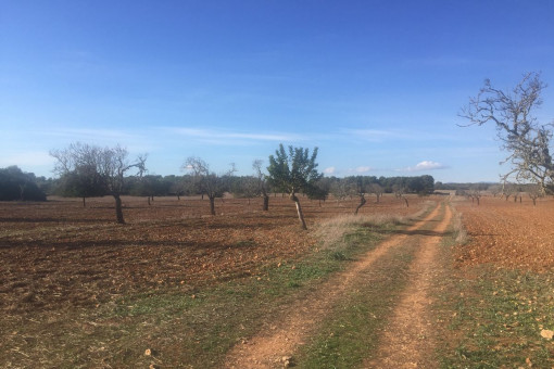 Zona perfecta para tranquilidad y relajamiento