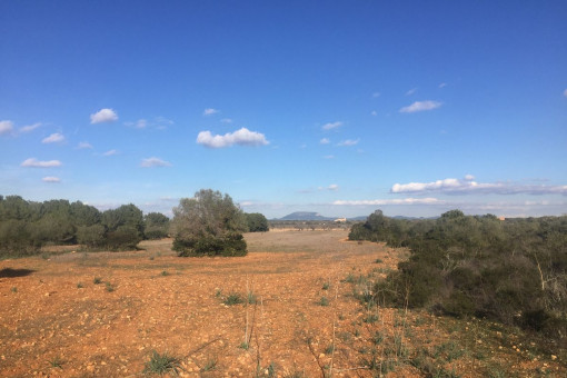 Terreno de finca en una ubicación tranquila cerca de Cala Pi