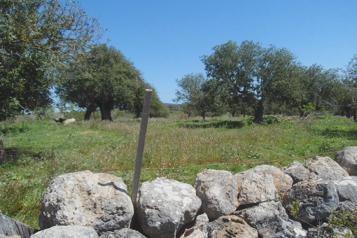 El terreno está situado en una bonita zona residencial 