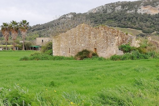 Ubicación idílica y tranquila