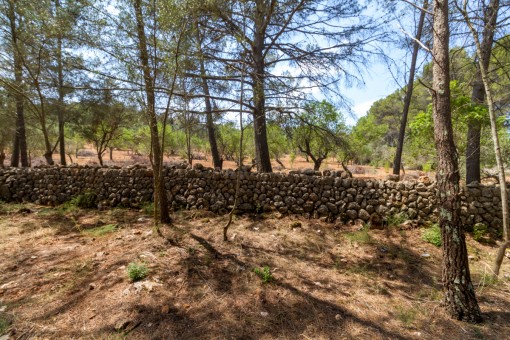 Muros de piedra natural
