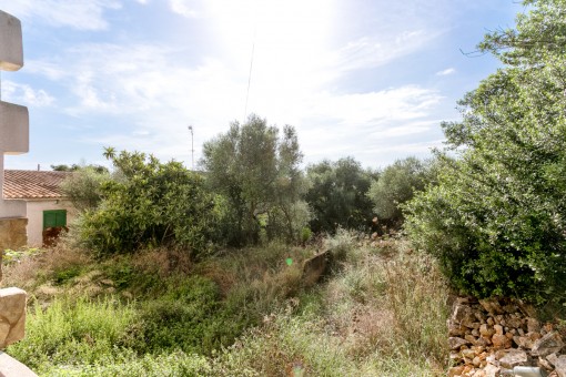 Vista alternativa del terreno