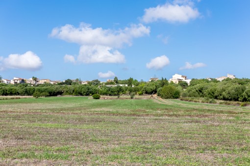 Alrededores idílicos del terreno