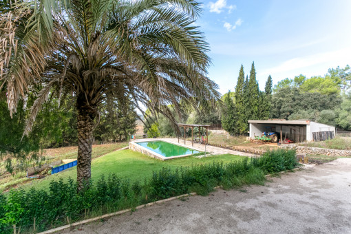 Área de piscina con cobertizo pequeño