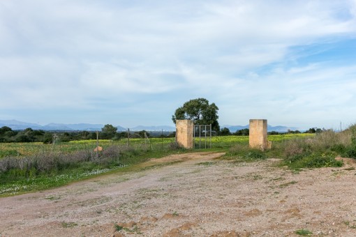 Acceso al terreno