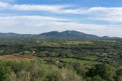 Excepcional terreno con casa a reformar frente a las montañas de Artà al Parque Natural de la Albufera