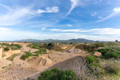 Cantera anterior