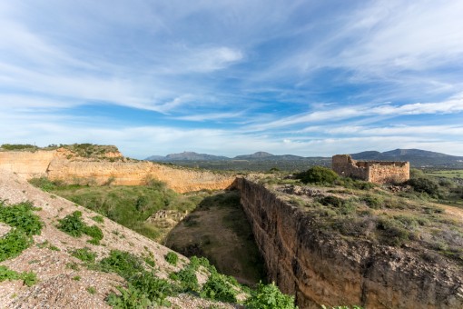 Cantera anterior