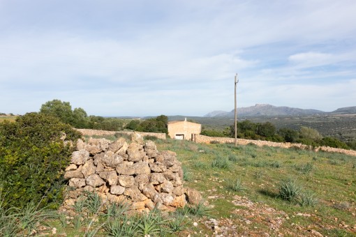 Vistas del terreno