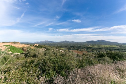 Excepcional terreno con las montañas de Artà y el Parque Natural de la Albufera como escenario