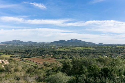 Fantásticas vistas panorámicas