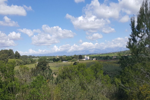 Vista alternativa de los alrededores