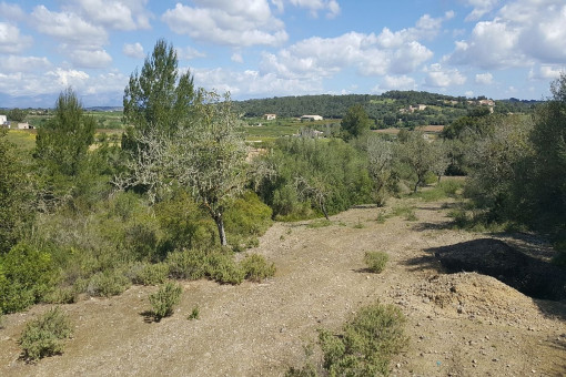 Vista alternativa del terreno