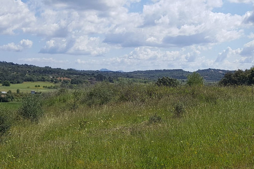 Vista alternativa del terreno