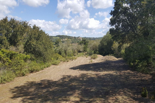 Vista alternativa del terreno