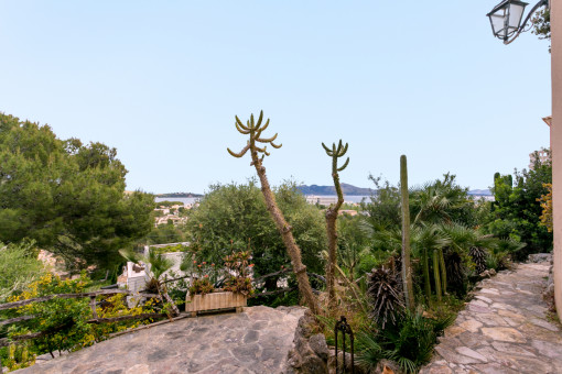 Terraza idílica