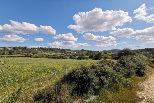 Solar en Manacor-Sur