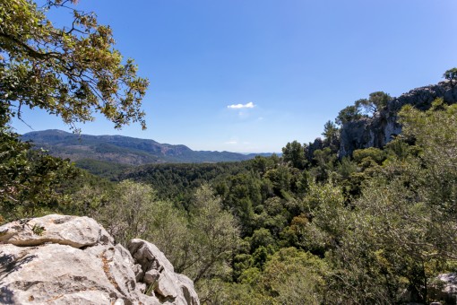 Impresionantes vistas panorámicas