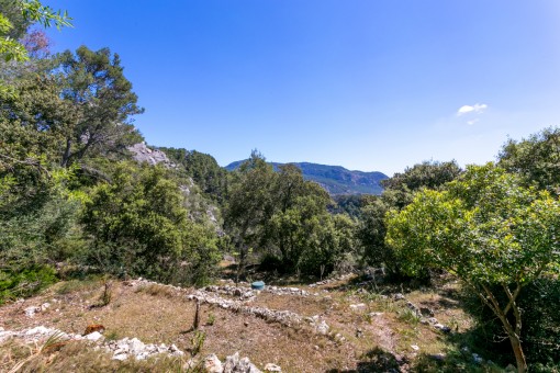 Estupendas vsitas al paisaje