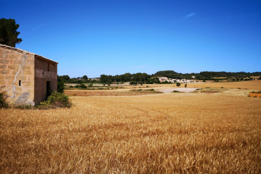 Solar en Montuiri