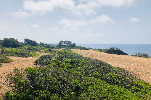 Vistas del terreno