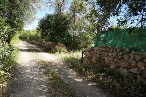 Acceso al terreno