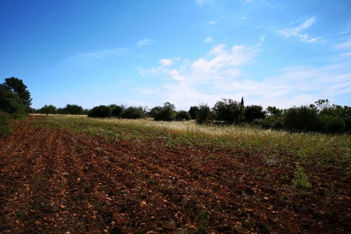 Vista alternativa del terreno