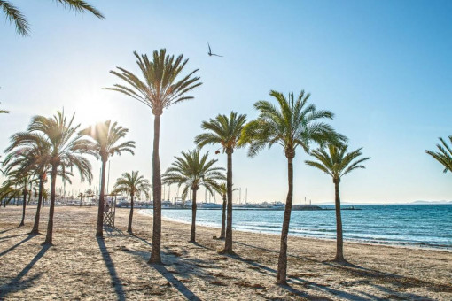Playa cerca del piso
