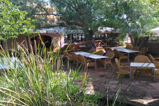 Otra vista del jardín