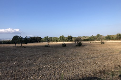 Terreno idílico en Muro para construir una finca