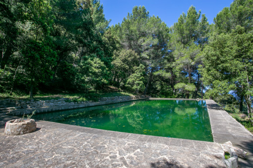 Otra prosibilidad para una piscina