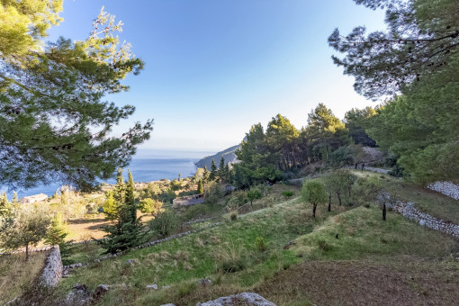 Vista sobre el terreno