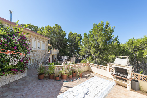 Terraza