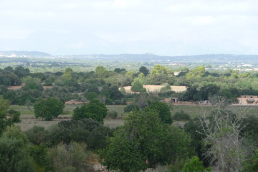 Vistas lejanas