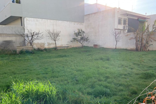 View of the plot