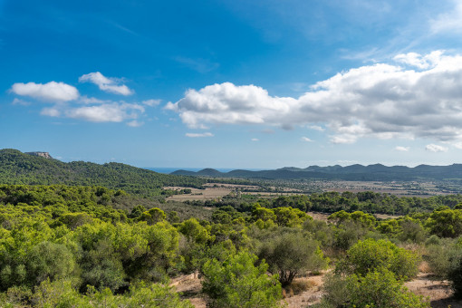 Vistas increíbles al paisaje 