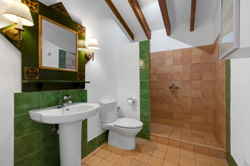 Baño con ducha