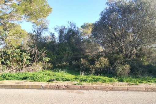 Hermoso solar para una casa unifamiliar en una zona tranquila de Son Moja